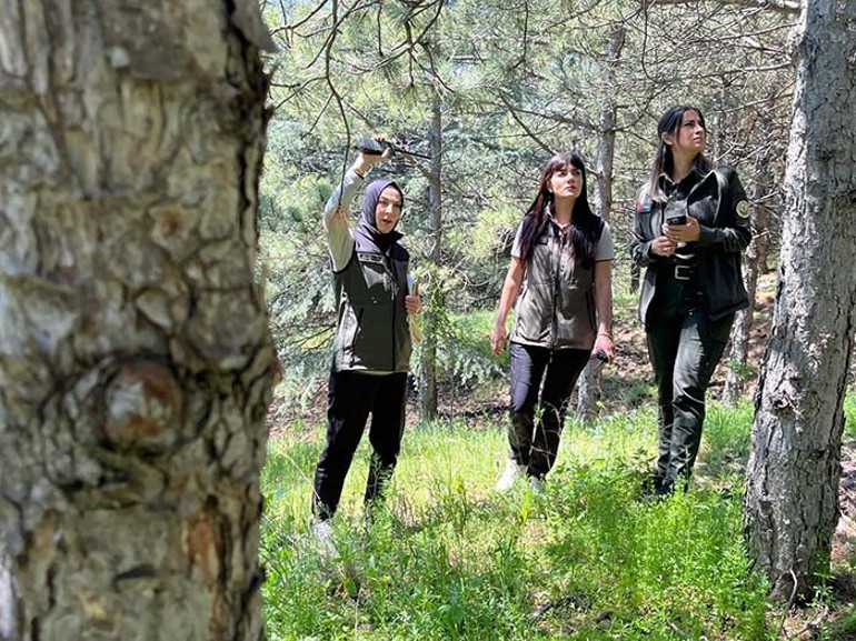 Onlara ormanın melekleri diyorlar Yazın köz üstünde, kışın buz üstündeyiz