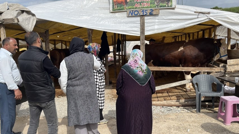 Adını Şampiyon koydu | 1 Tonluk boğanın dudak uçuklatan fiyatı