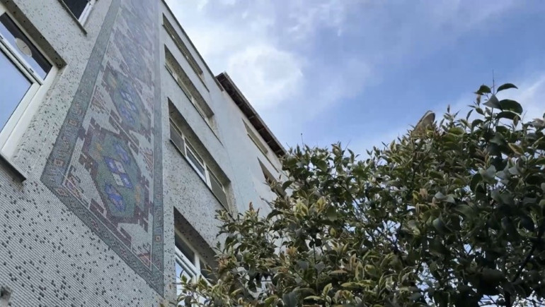 Yer: İstanbul | Erkek arkadaşının ziline bastı, sonrası korkunç: Doktor Alime entübe edildi