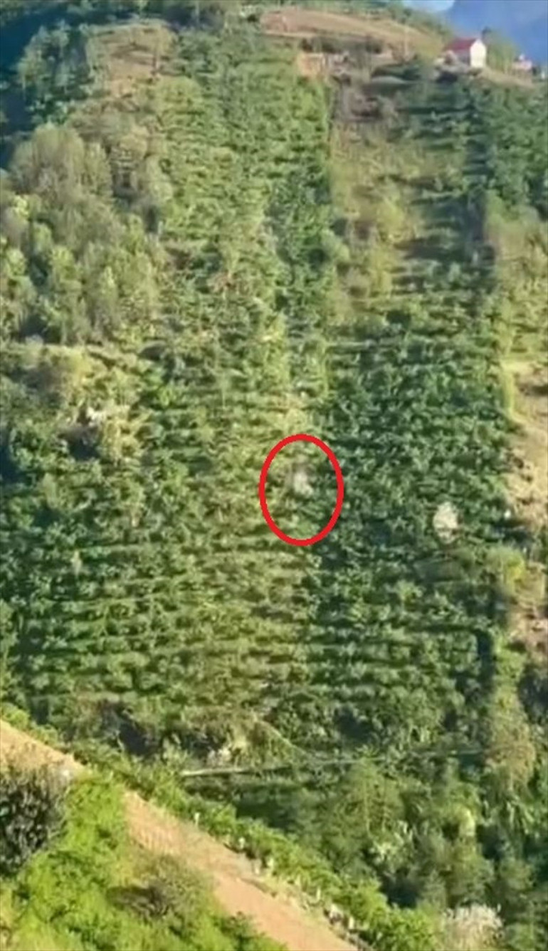 Recep abi gidiyoruz’ dedi