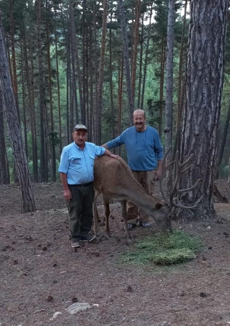  Saldırıya uğradı, yatağa mahkum kaldı