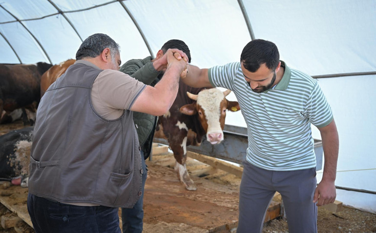 Uygulamaya bak kurbanlığı al