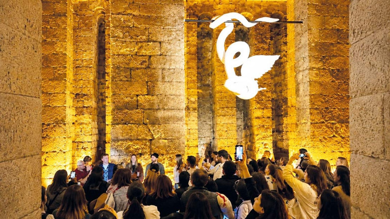 Mardin’in bienal kuşları