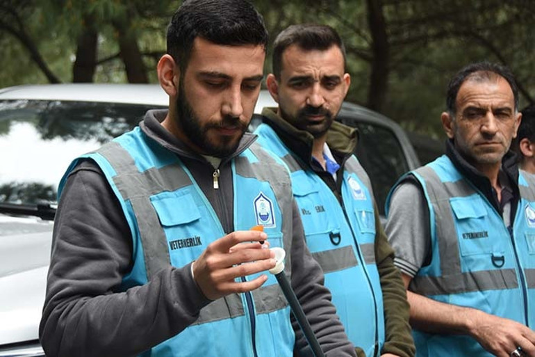 Kaçan kurbanlıkları böyle yakalayacaklar Tüf tüflü tim kuruldu: Uyanmaları da çok uzun sürmüyor