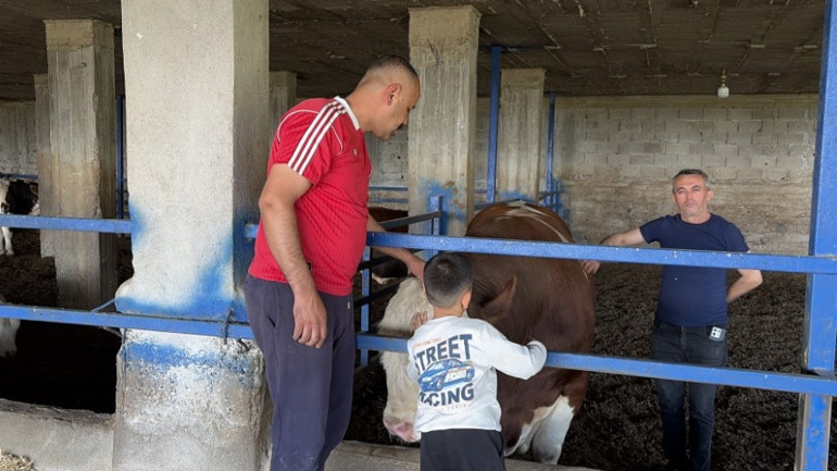 Çocuk gibi büyüttü, gardaşım diye hitap ediyor... Ayrılığı sezen boğanın duygulandıran değişimi