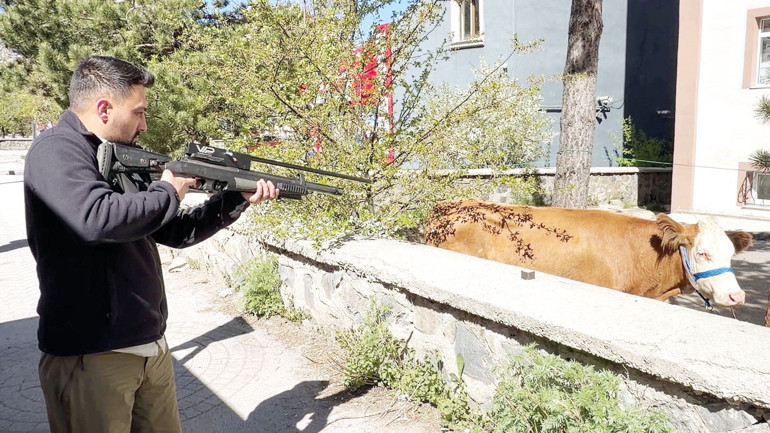 ‘Kurban’ klasikleri... Kaçan boğalar, yollarda kesimler, acemi kasaplar
