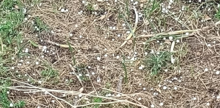 Meteoroloji uyarmıştı... Bazı yerlerde hayat durma noktasına geldi, sağanak ve dolu birçok ili vurdu