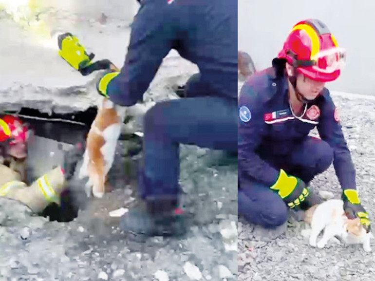 İstanbul İtfaiyesi’nden yavru kedi operasyonu