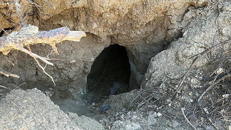 Orman yangınının ardından ortaya çıktı: Defineciler tünel oluşturdu