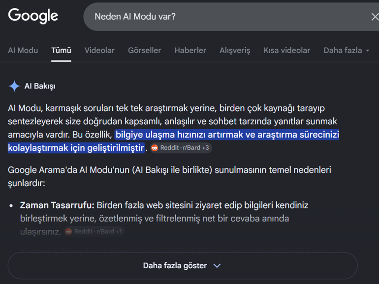 Googlea aramada yapay zekaya fren