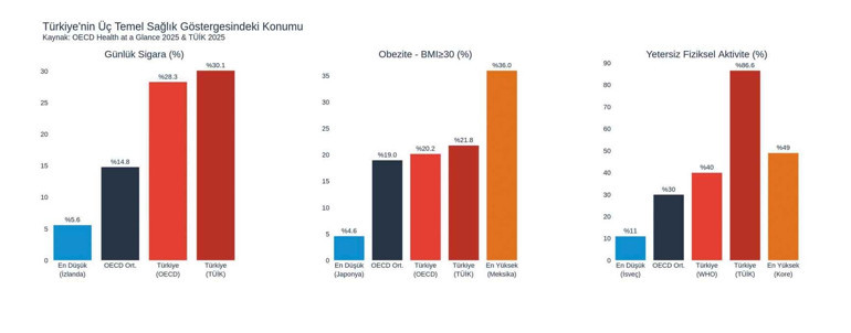 TÜİK’in sağlık verileri ne anlatıyor