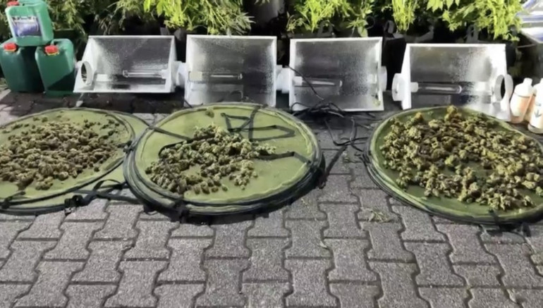 Yoğun koku yayılınca ortaya çıktı İzole edilmiş odada pes dedirten düzenek: Piyasa değeri 30 milyon lira