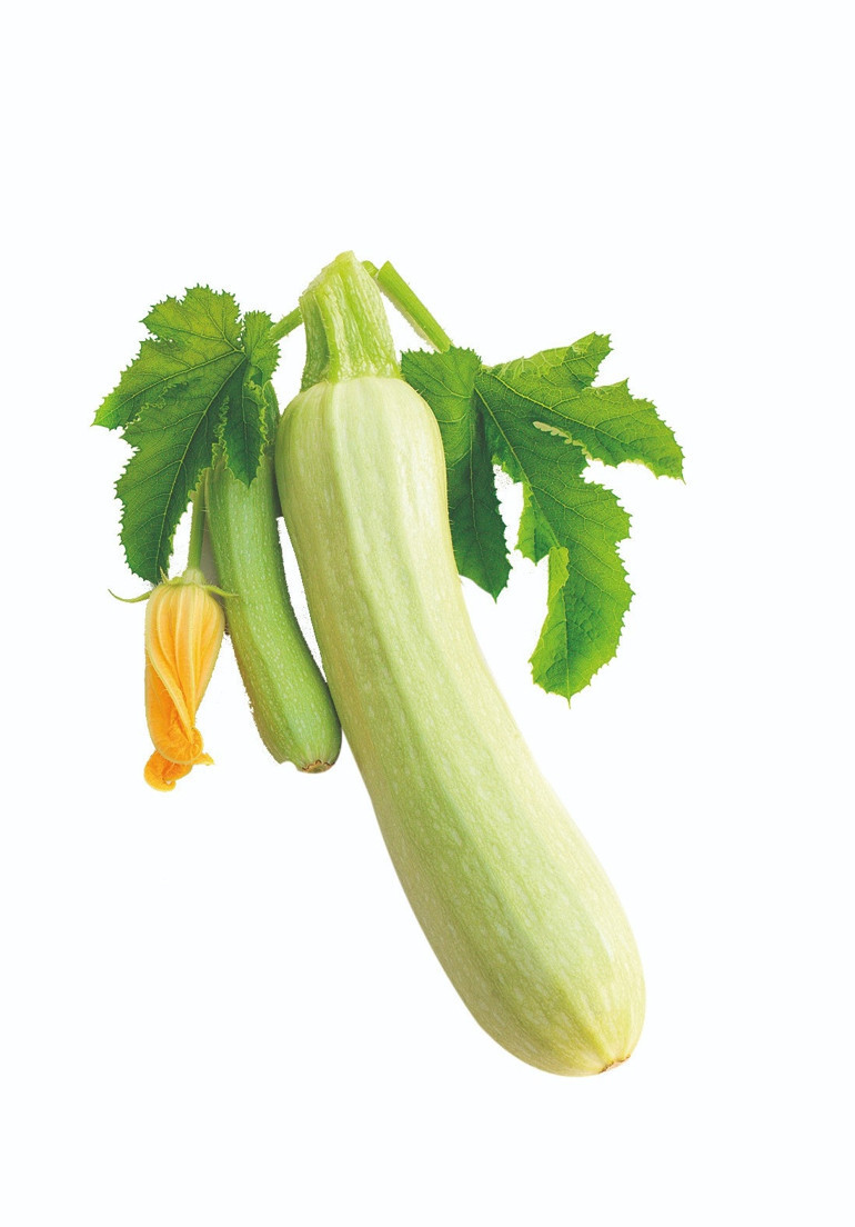 Gastronomi kazanında kaynayanlar