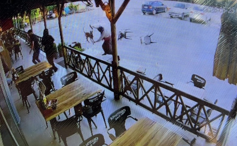 Afyonkarahisarda köpek saldırısında kadının kolu koptu