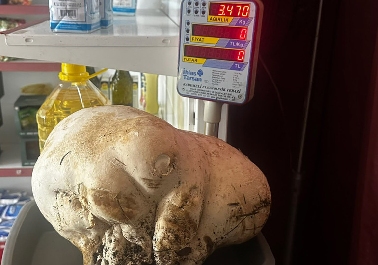 Ispartalı vatandaş evinin bahçesinde buldu: Tam 3,5 kilo | Ne olduğunu anlayınca çok şaşırdım