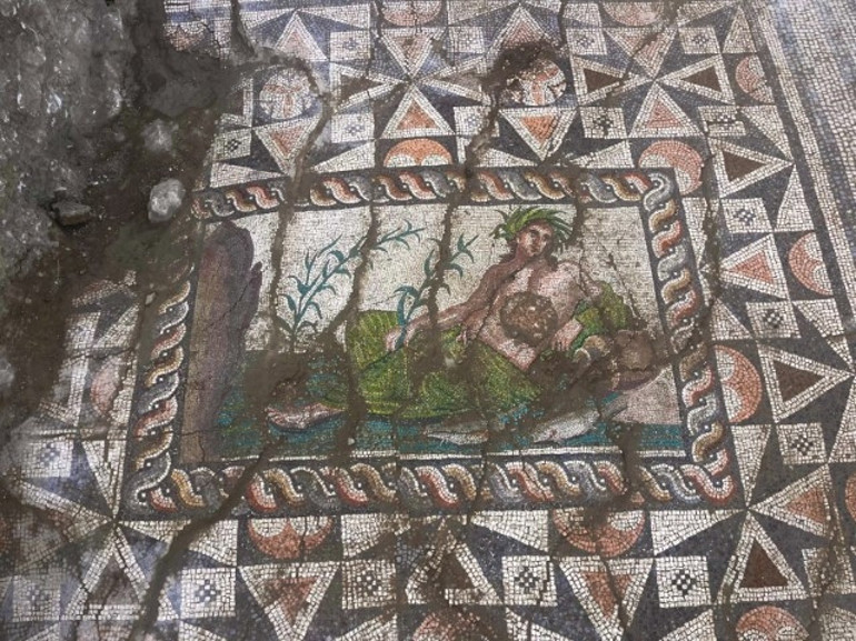  Sınırlı sayıda örneği var ve bilimsel açıdan büyük önem taşıyor