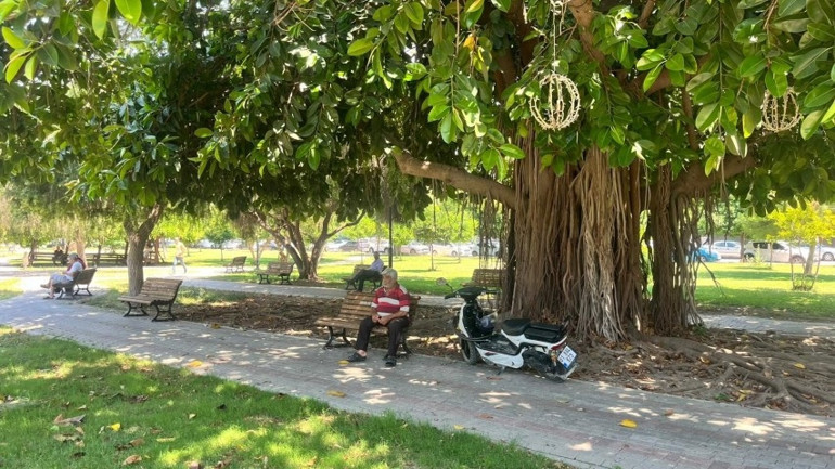 Adana sıcağı termometreyi bozdu Vatandaşlar parklardaki gölgelik alanlarda serinledi