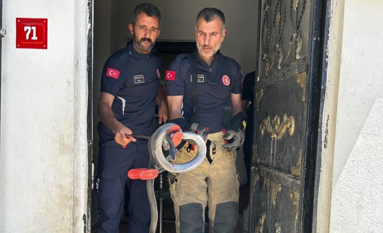 Evin lavabosundan çıkan yılan paniğe neden oldu