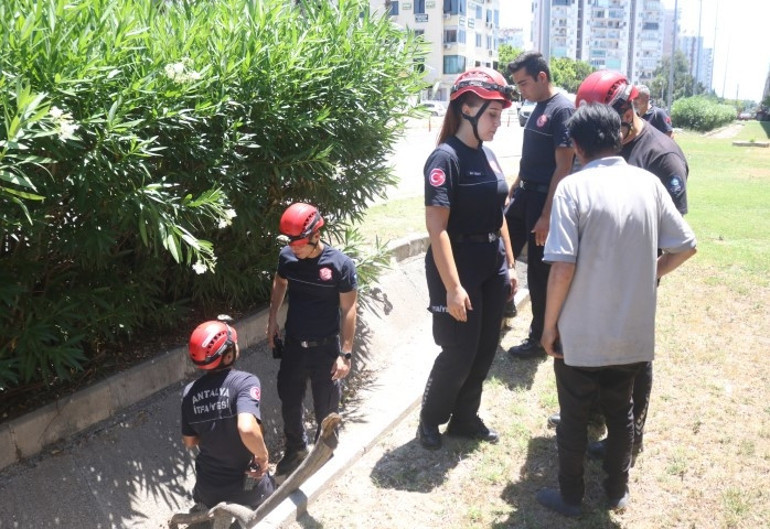 Antalyada bir garip olay Anne babası için ihbarda bulundu, gerçek bambaşka çıktı | Gözümle gördüm, buradalar