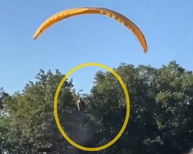 Paraşütçü ağaca kontrollü iniş yaptı Çevredekileri endişeyle izledi