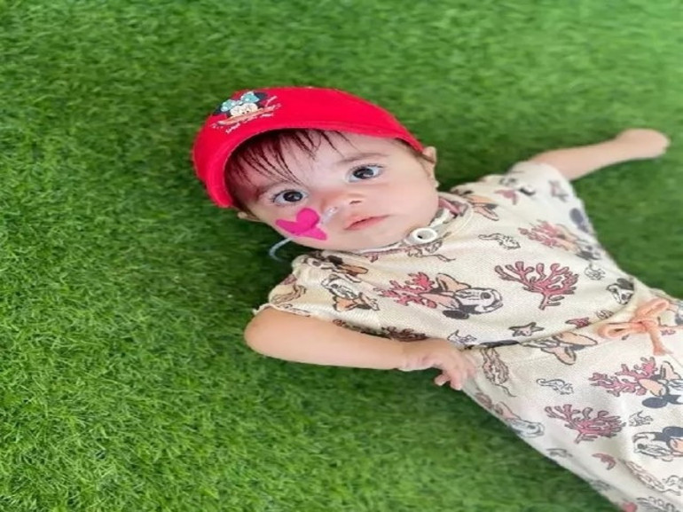  Aile son çare olarak etrafını çitle çevirdi