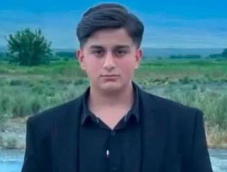İneğin saldırdığı çocuk hayatını kaybetti