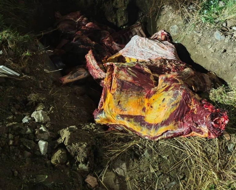 Tam 1.800 kg... Hepsi imha edildi