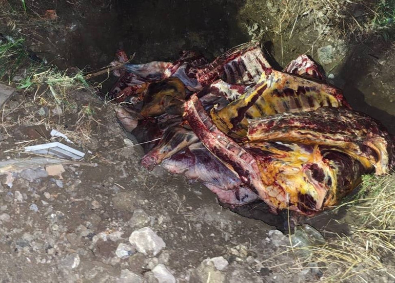 Tam 1.800 kg... Hepsi imha edildi