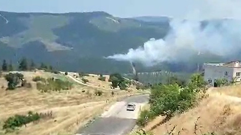 Son dakika... Bursada orman yangını Rüzgarın etkisiyle büyüdü