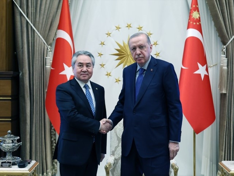 Cumhurbaşkanı Erdoğan, Ceenbek Kulubayevi kabul etti