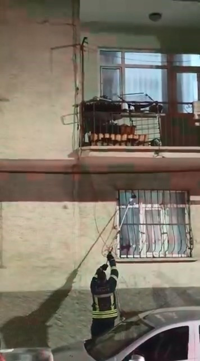 Bir evin pencere korkuluğuna çıkan yılan, yakalanarak doğaya bırakıldı
