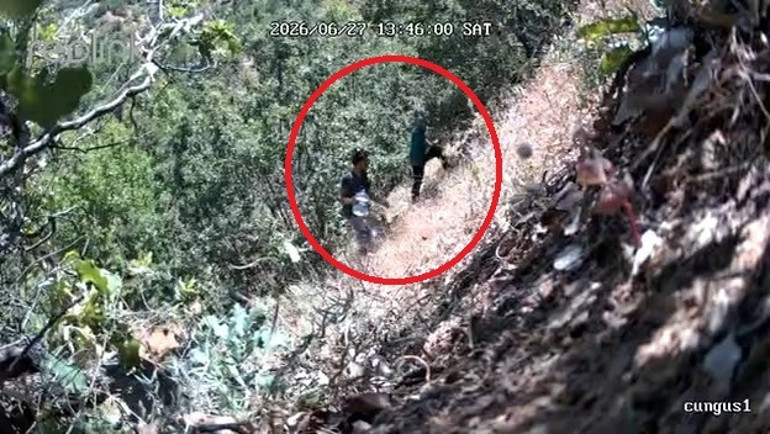  Kenevir tarlasını sularken görüntülendi Başkanın oğlunun ifadesi ortaya çıktı