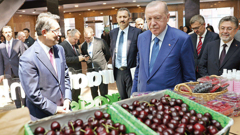 Erdoğan’dan ‘Terörsüz Türkiye’ mesajları: Artık dağlarımızda turizm var spor var