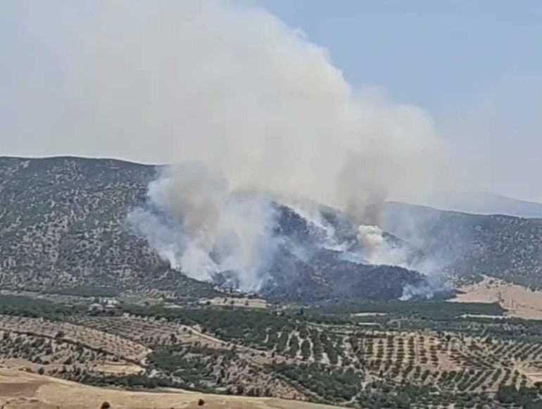 Malatyada orman yangını Ekipler müdahale ediyor
