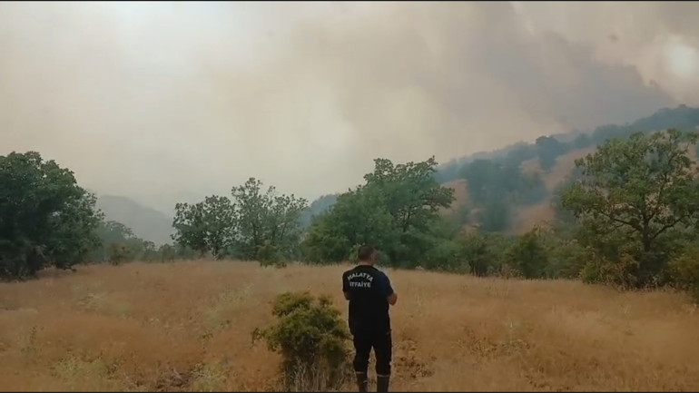 Malatyada orman yangını Ekipler müdahale ediyor