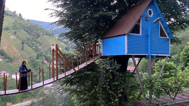  Çocukluk hayalleri olan ağaç eve asma köprüyle ulaşım