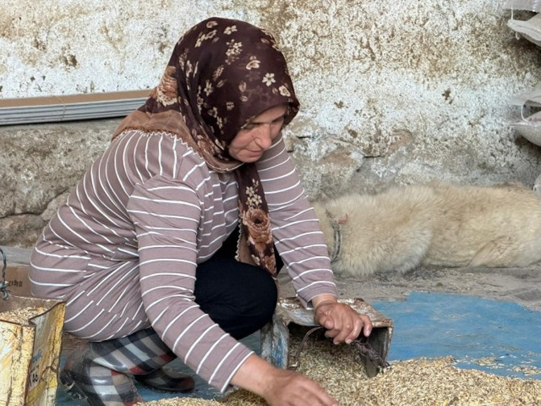 Eskişehirde büyü iddiasıyla öldürülen çiftçinin eşi, iki oğlunu okutmak için tek başına çobanlık yapıyor