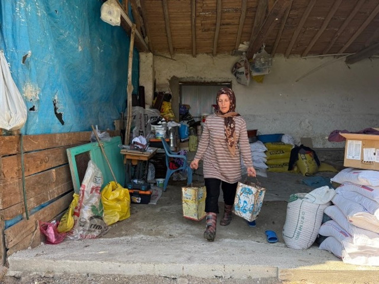 Eskişehirde büyü iddiasıyla öldürülen çiftçinin eşi, iki oğlunu okutmak için tek başına çobanlık yapıyor