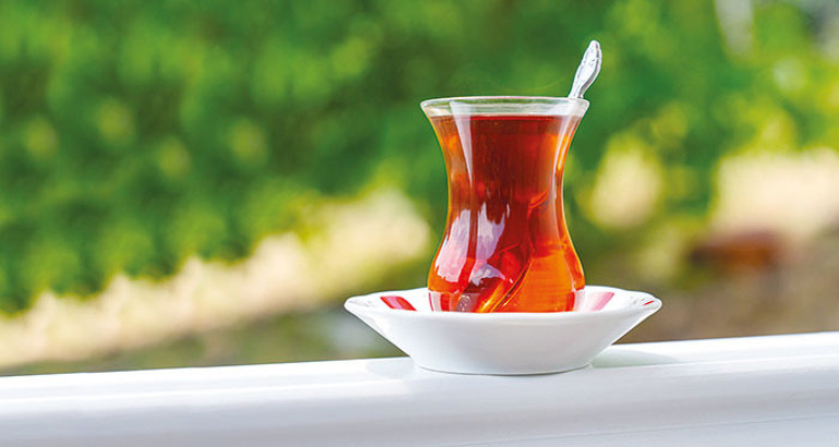 Tavşan kanı değil tekstil boyası