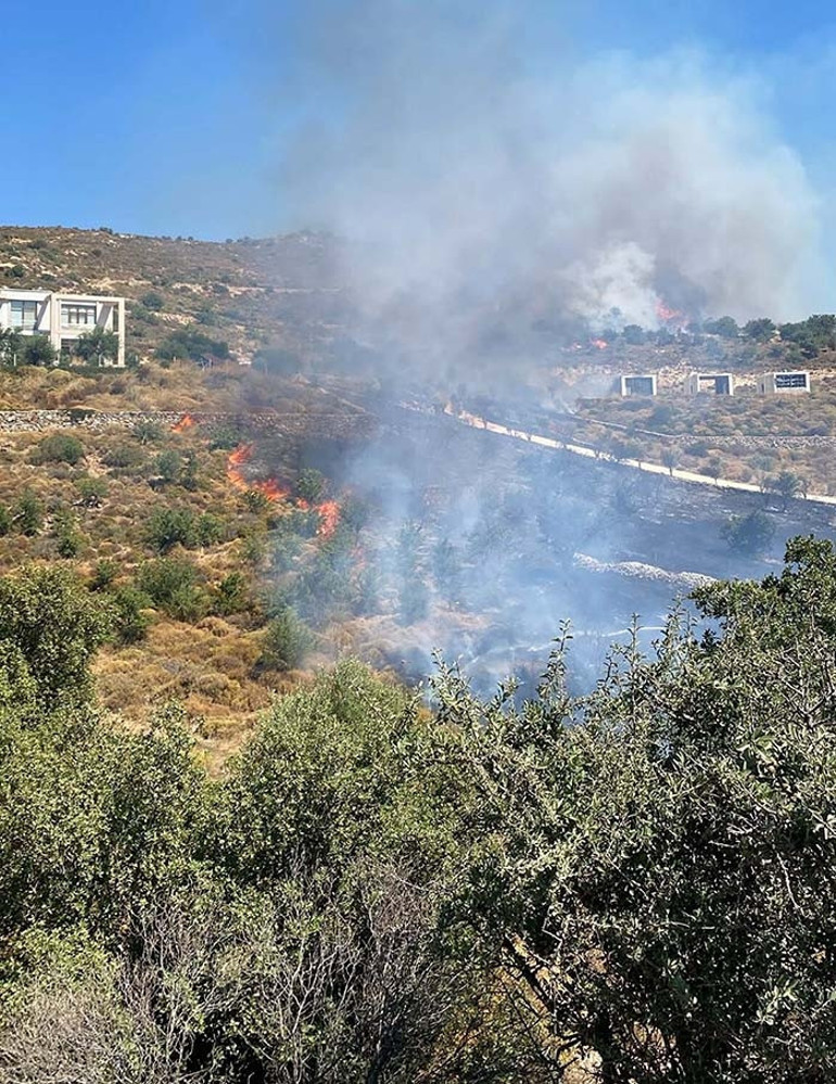 Bodrumda otluk ve makilik alanda yangın