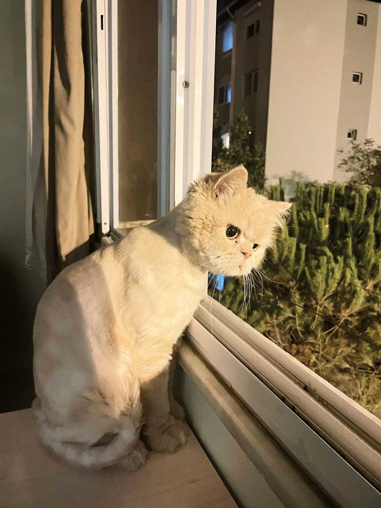 Kendime ait bir bahçe