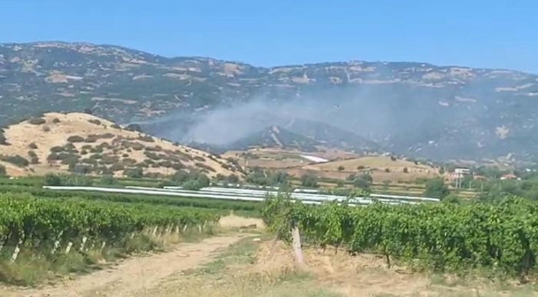 Manisada maki yangınında alevler ormana sıçradı