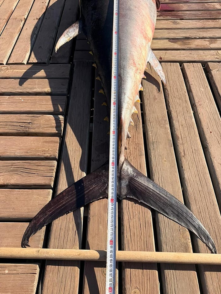 1 metre 82 santim boyunda Bizi derin sulara doğru sürükledi