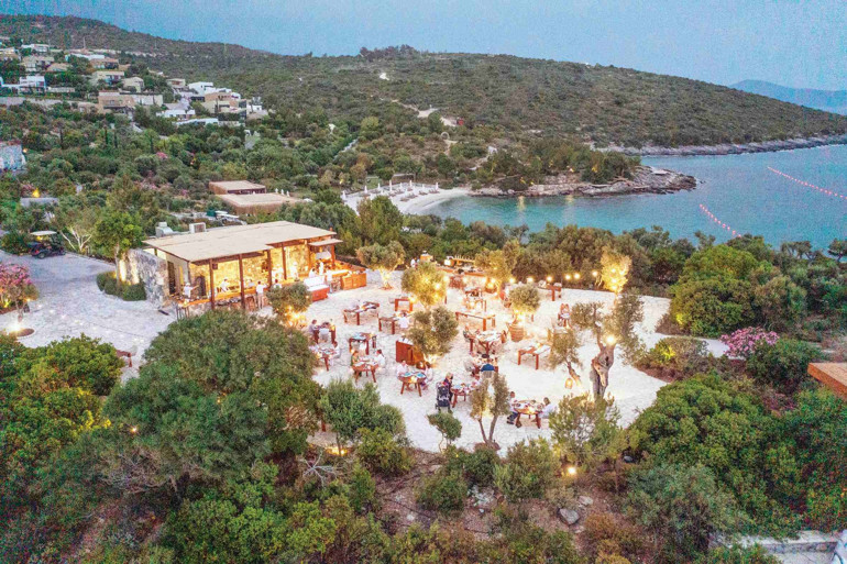 Bir balık restoranı denizi kurtarmaya karar verirse…
