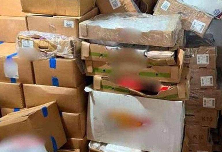 Bodrumda 1,2 ton tarihi geçmiş gıda yakalandı