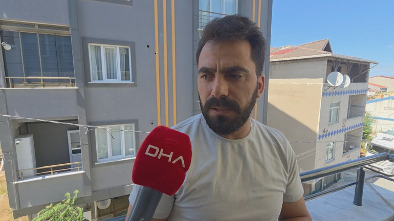 Balkanlar üzerinden Marmaraya yayıldılar Çekirgeler bir ilde daha görüntülendi