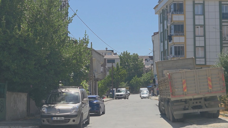 Balkanlar üzerinden Marmaraya yayıldılar Çekirgeler bir ilde daha görüntülendi