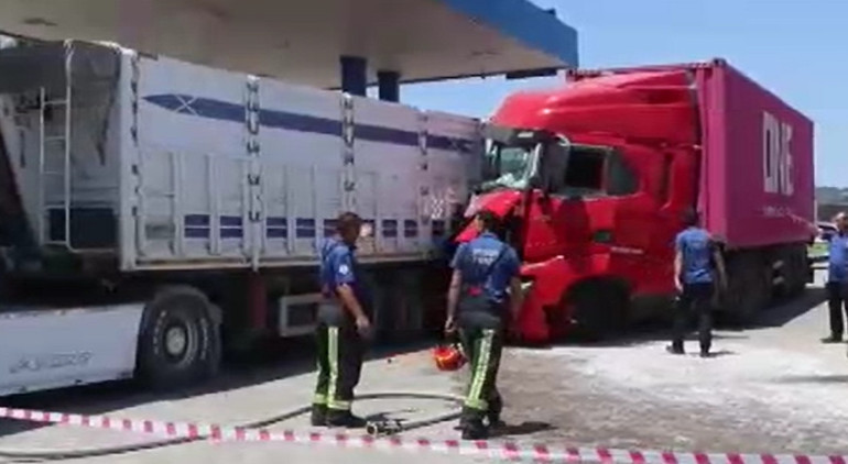 Kabine giren arı faciaya yol açıyordu Alerjisi olan şoför bayılınca TIR istasyona daldı