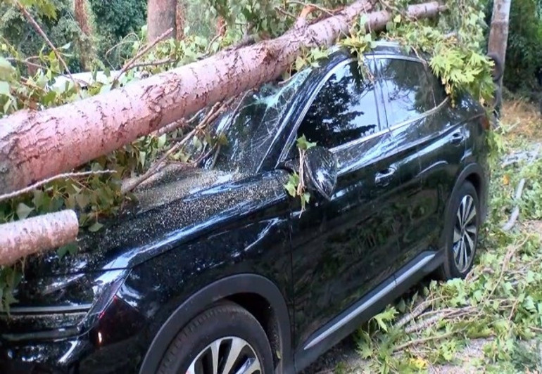Meteoroloji uyarmıştı... İstanbulda şiddetli fırtına: Çatılar uçtu, ağaçlar devrildi