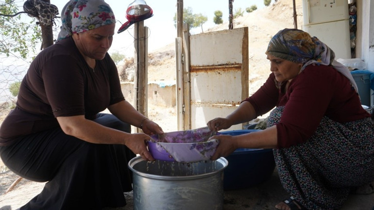 meşe yapraklarından süzülen gezu köylünün geçim kapısı oldu